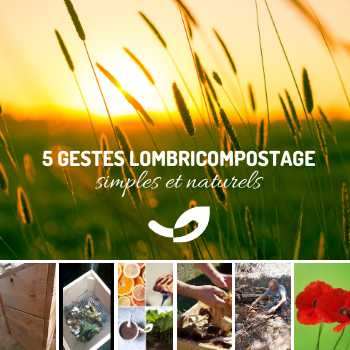 5 GESTES A RETENIR EN LOMBRICOMPOSTAGE