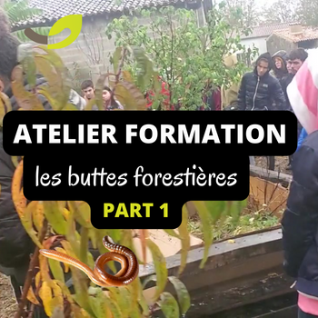 🌿 Le Tressage des buttes forestières avec la MFR du Blayais 🌱🪱🌳NOV 2023