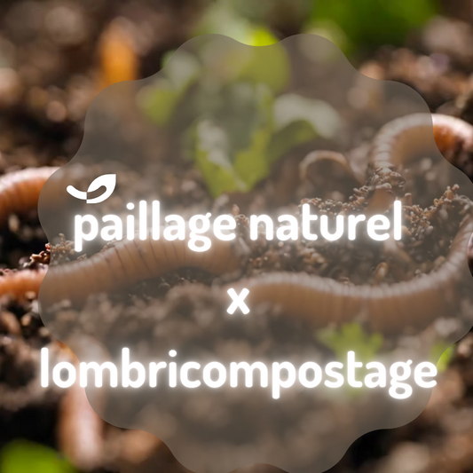 PAILLER AU NATUREL : une solution éfficace qui favorise le lombricompostage 🌱🪱🌳