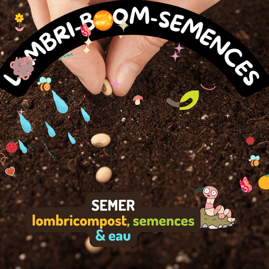 COMMENT SEMER DES GRAINES ECO-LOGIQUES