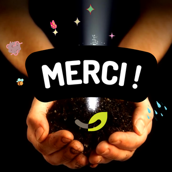 Un Grand Merci Ă Gwendoline, La Popote de PB & Noella
