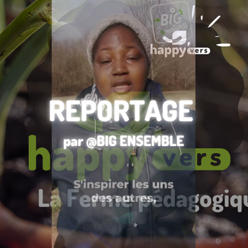 Des Arbres dans une Ferme lombricole - partie 3