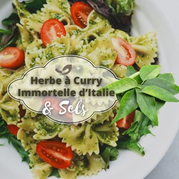 BOX Tresors de Sels & Herbes