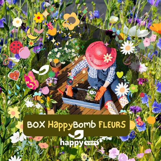 BOX HAPPY-BOMB-FLEURS