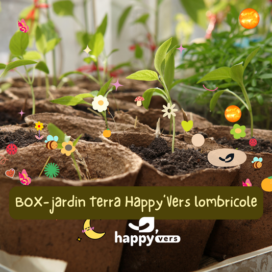 BOX TERRA-HAPPY-VERS