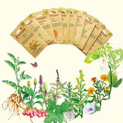 ASSORTIMENTS KOKOPELLI