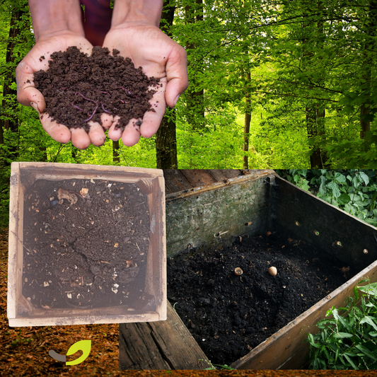 LOMBRICOMPOST | engrais/terreau naturel