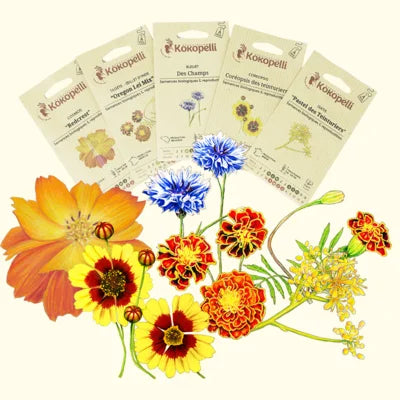 ASSORTIMENTS KOKOPELLI