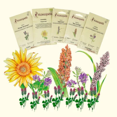 ASSORTIMENTS KOKOPELLI