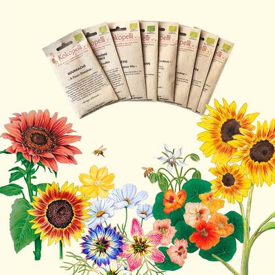 Semences florales | ASSORTIMENTS et CADEAUX FERTILES, KOKOPELLI