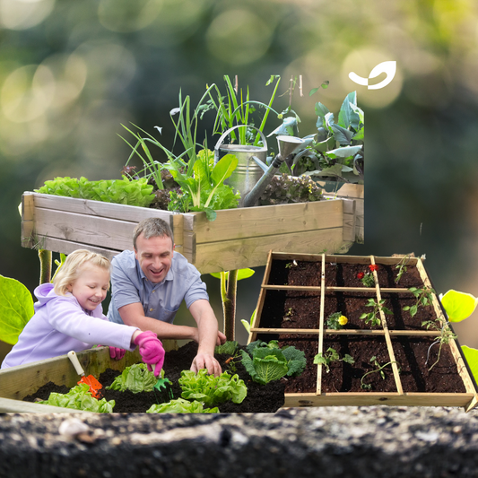CARRE POTAGER LOMBRICOLE