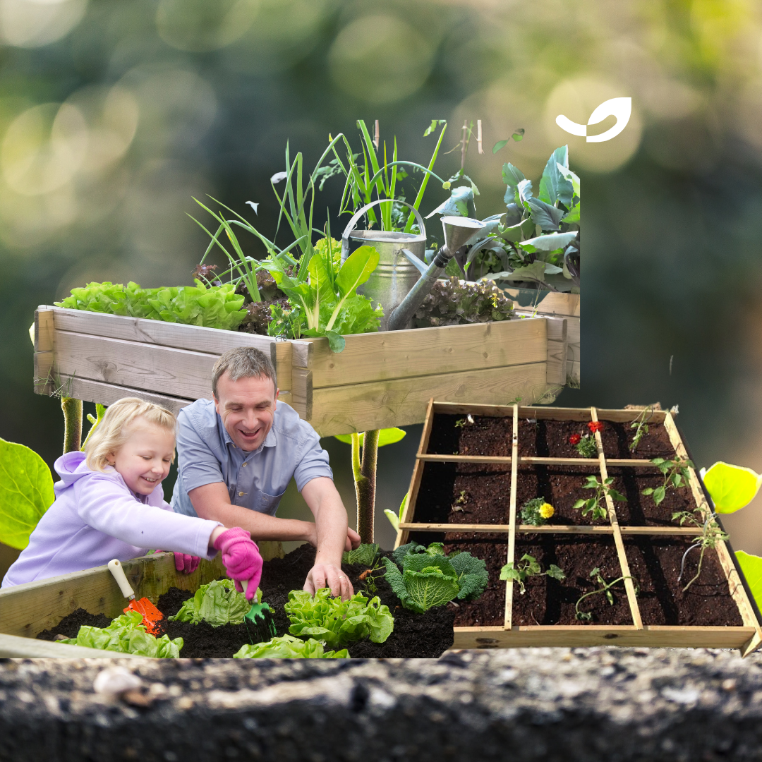 CARRE POTAGER LOMBRICOLE