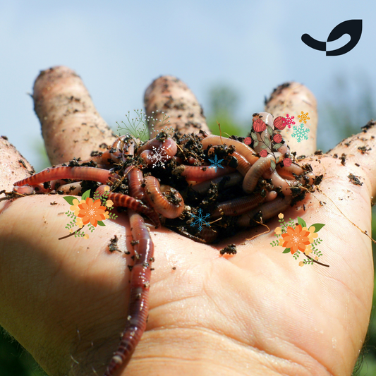 Litière de VERS DE COMPOST