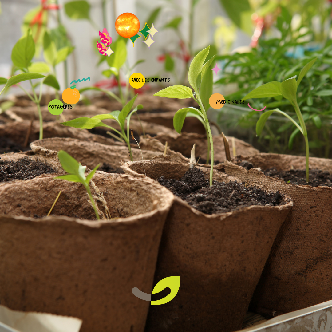 LOTS de PETITS MATERIELS pour SEMER PLANTER