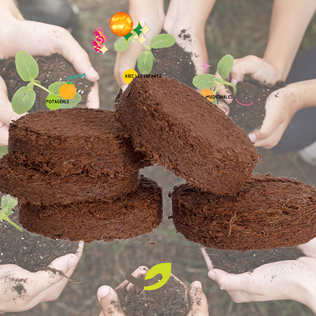 LOTS de PETITS MATERIELS pour SEMER PLANTER