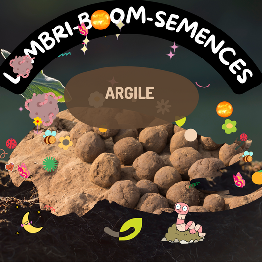 ARGILE 100% naturelle, à malaxer | série Bombes de Fleur