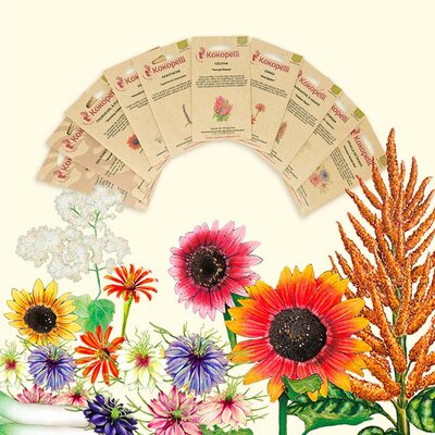 Semences florales | ASSORTIMENTS et CADEAUX FERTILES, KOKOPELLI