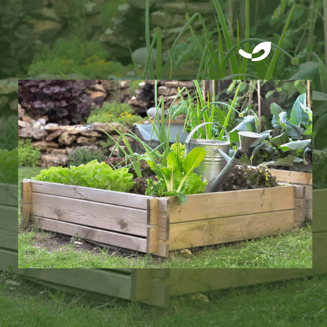 CARRE POTAGER LOMBRICOLE
