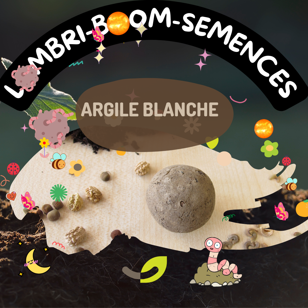 ARGILE 100% naturelle, à malaxer | série Bombes de Fleur