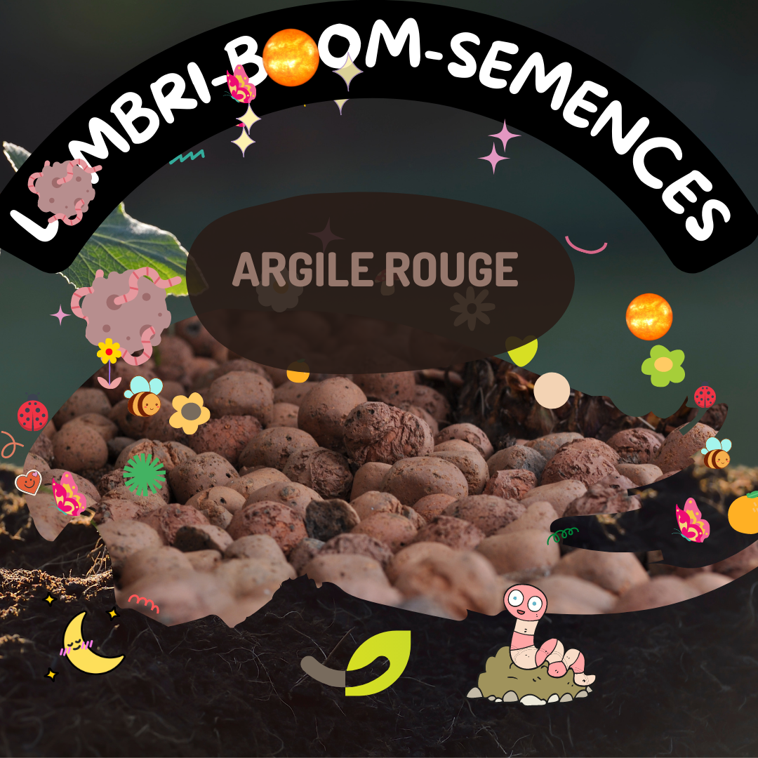 ARGILE 100% naturelle, à malaxer | série Bombes de Fleur