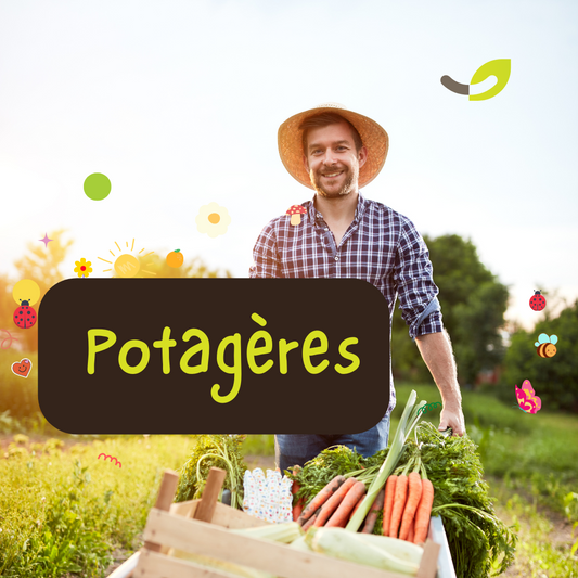 Semences Potagères multi | Sachet à l'unité KOKOPELLI