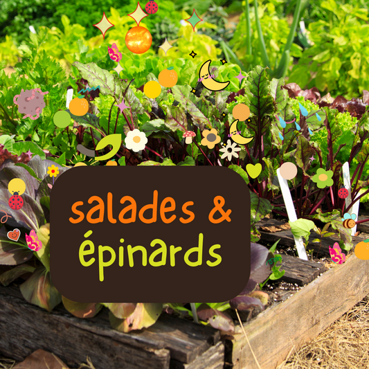 Semences Potagères SALADES et EPINARDS | Sachet à l'unité KOKOPELLI
