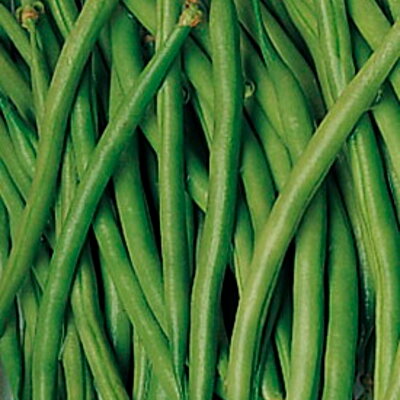Semences Potagères multi | Sachet à l'unité KOKOPELLI