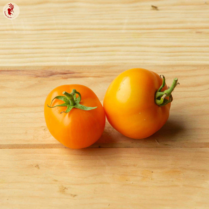 Semences Potagères TOMATES | Sachet à l'unité KOKOPELLI
