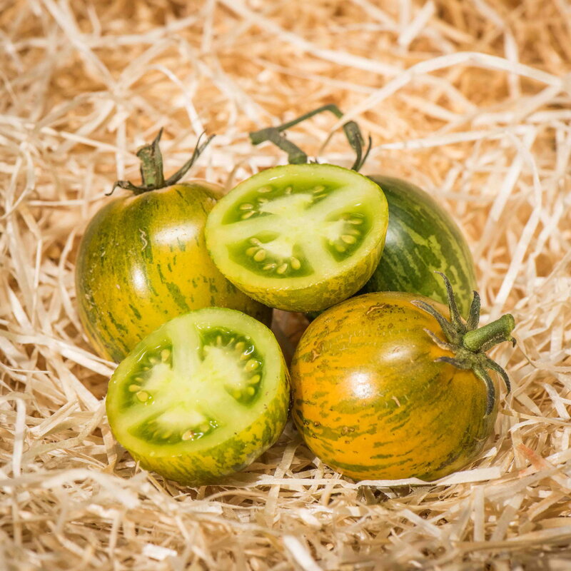 Semences Potagères TOMATES | Sachet à l'unité KOKOPELLI
