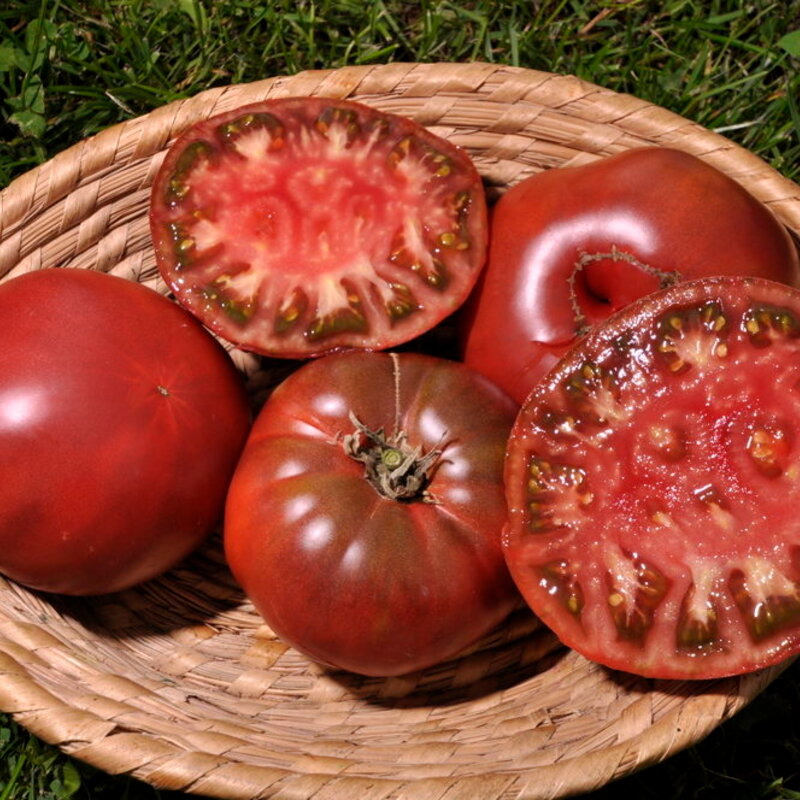 Semences Potagères TOMATES | Sachet à l'unité KOKOPELLI