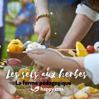 BOX Tresors de Sels & Herbes