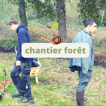 Chantier forêt à la Ferme Happy’Vers : ouvrir, observer et aménager🌱🪱🌳**