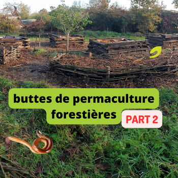🌱🪱Comment créer les Buttes de permaculture Forestières, les Arbres et les Vers de Terre 🌳