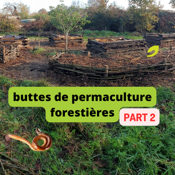 🌱🪱Buttes forestières : comment nous les avons créées à la ferme 🌳**