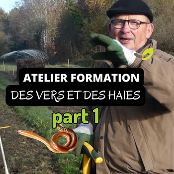 🌿Vers et haies : plantation de 100 arbres lors d’un atelier collectif🌱🪱🌳*