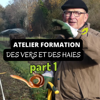 🌿 RETOUR sur l’Atelier Formation : Vers et Haies 🌱🪱🌳