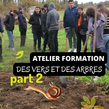 🌱🪱🌳 Plantation d'arbres avec la MFR du Blayais 🌿Atelier NOV 2023