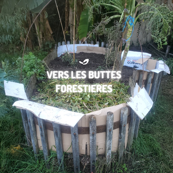 Potager-forêt : 4 ans d’expérimentations à la Ferme Happy’Vers*🌱🪱🌳*