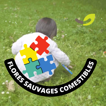 Chasse au trésor et plantes sauvages comestibles avec Robert le ver de terre**