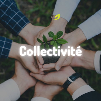 Lombricompostage en collectivité : projet et accompagnement*