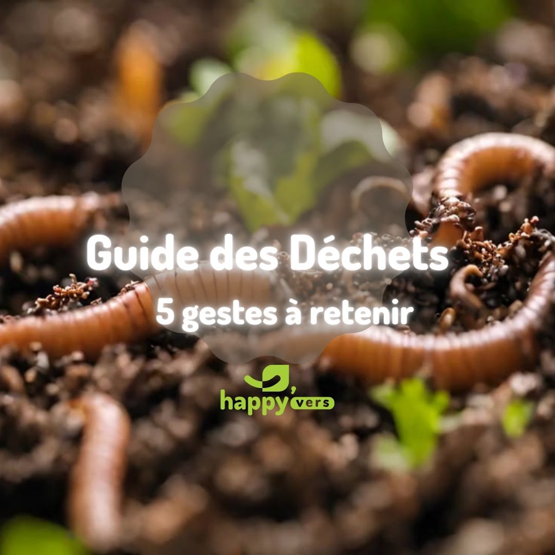 LE GUIDE : Quels déchets dans un lombricomposteur ? 🪱