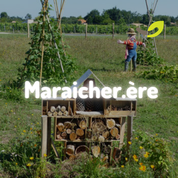 Le lombricompostage pour les maraîchers : des pratiques à adapter à votre exploitation