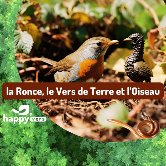 COMPTINE🌳La Ronce🌿, le Vers de Terre 🪱et l’Oiseau 🐦