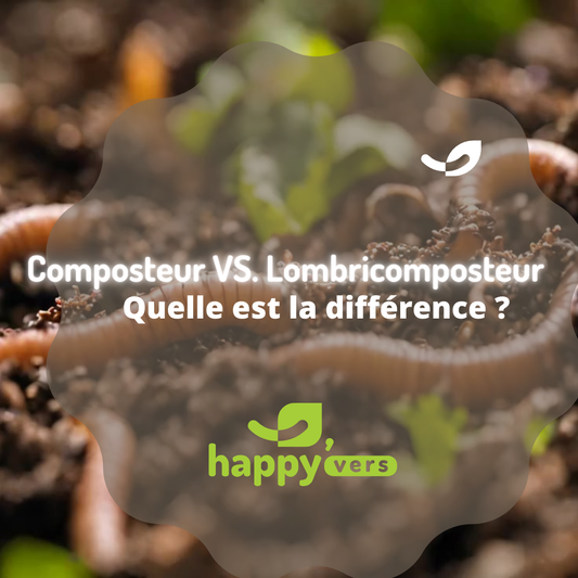 Composteur ou lombricomposteur : différences et lequel choisir ?*