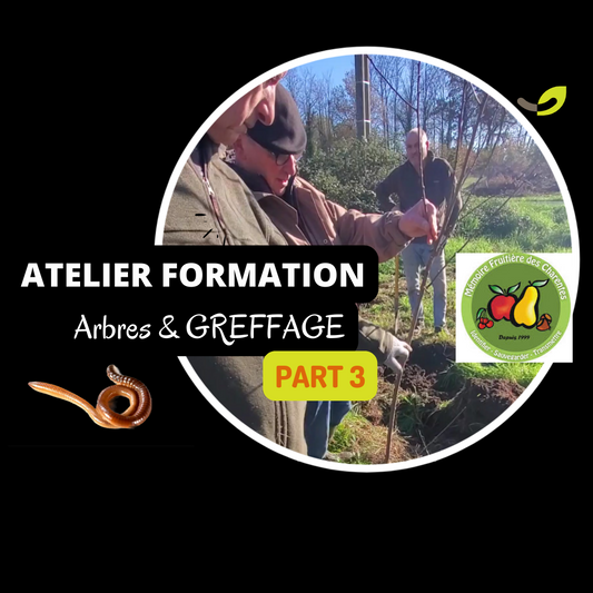 Atelier greffage d'arbres fruitiers anciens à la Ferme Happy'Vers🌱🪱🌳*