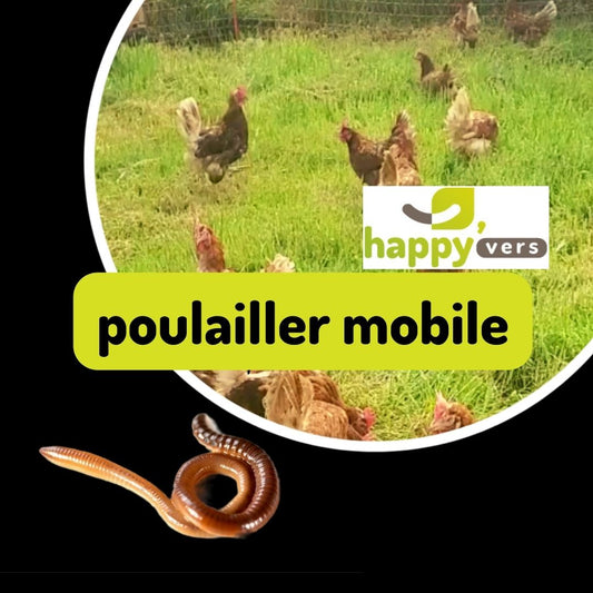 Poulailler mobile et lombricompostage : comment les associer à la ferme ?🌱🪱🌳🐔*