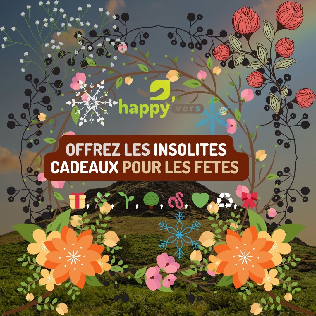 🪱 💚 ♻️ 🎀Cadeau original pour Noël : 6 idées nature et insolites🎁 🌿🌱 🌳*