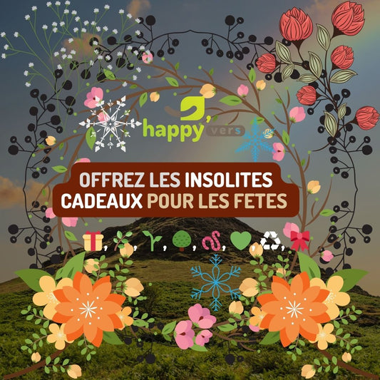 🪱 💚 ♻️ 🎀Cadeau original pour Noël : 6 idées nature et insolites🎁 🌿🌱 🌳*