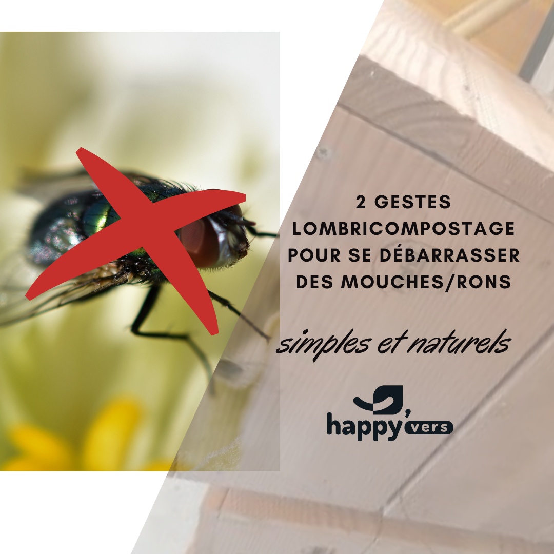 Moucherons dans le lombricomposteur : causes et solutions*