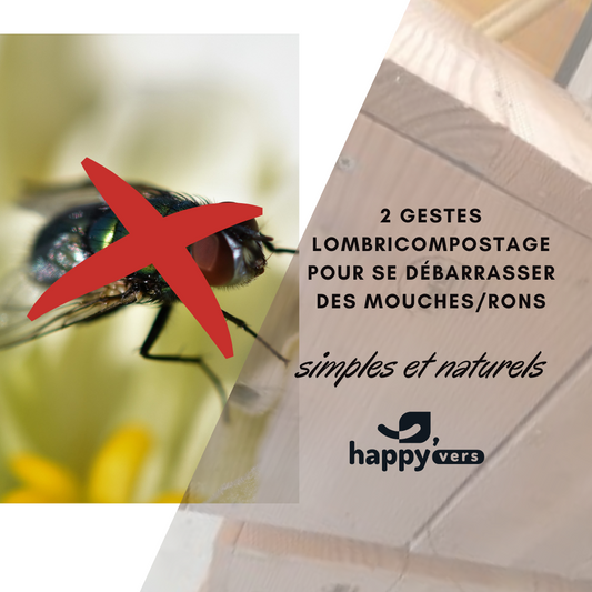 Moucherons dans le lombricomposteur : causes et solutions*